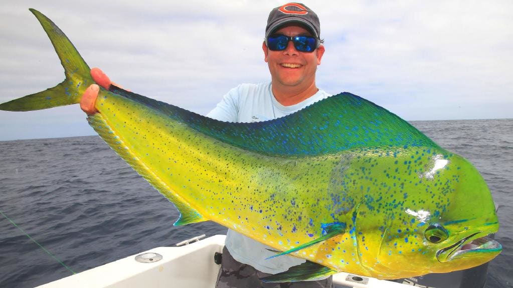 Travel Trolling Gear Package - Mahi Mahi, Wahoo, Dorado, Barracuda, Tuna, Marlin