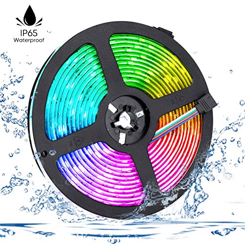LED Strip Lights 32.8FT/10M, SMD5050 RGB Strip Lights, 300 LEDs, IP65 Waterproof Color Changing Rope Lights with 44 Keys IR Remote Controller for Boat Decoration