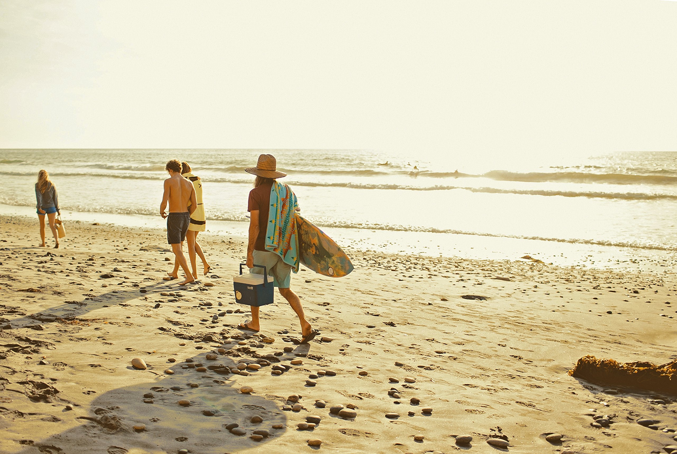 Sun Bum Face Lotion SPF 50 | Reef Friendly Broad Spectrum UVA / UVB Protection | Water Resistant